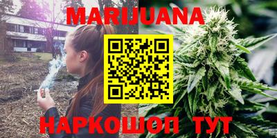индика Кинель
