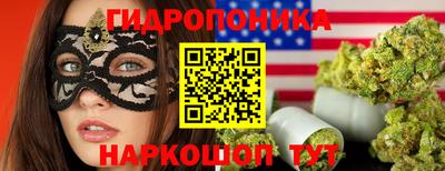дживик Кимры