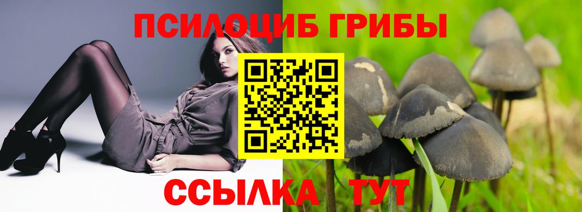 закладка  Галлюциногенные грибы мицелий  Вход с VPN  Южноуральск 